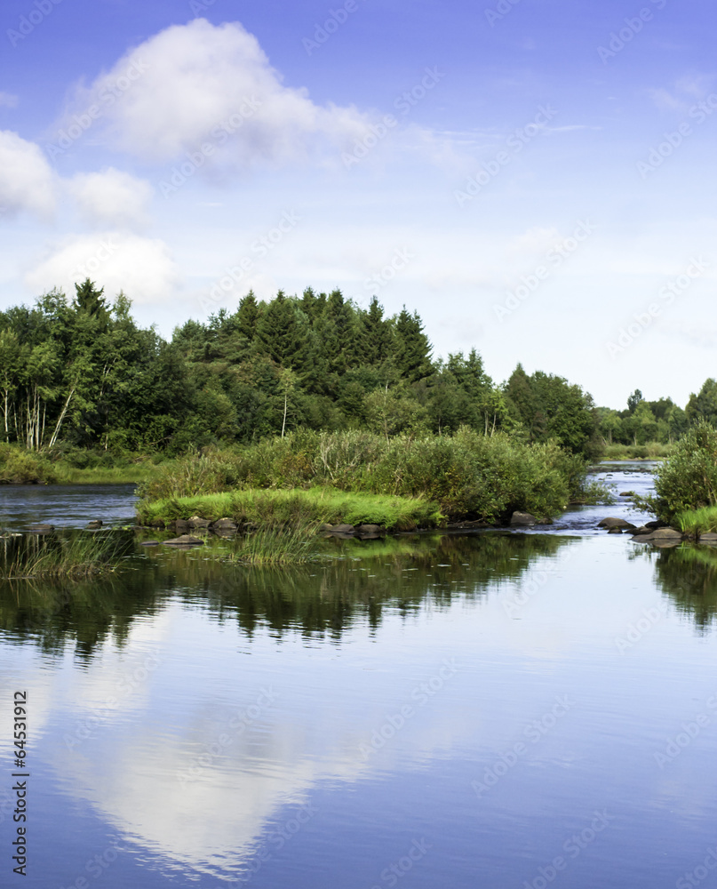 Reflections On A Summer Day Reflections On A Summer Day