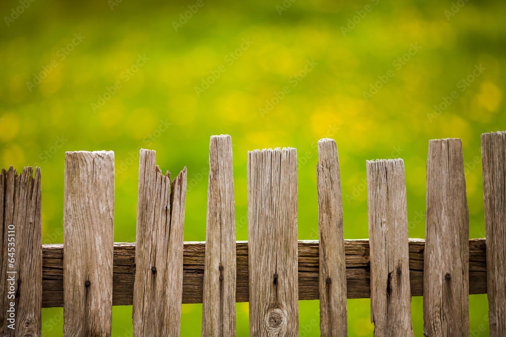 Old wood fence in garden .