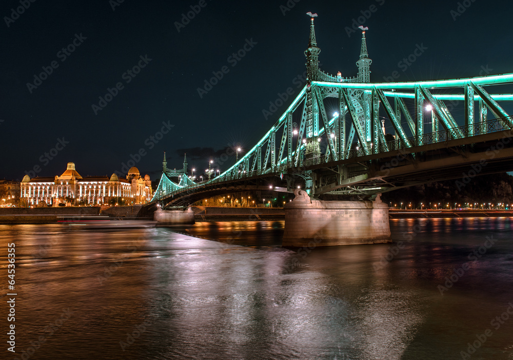 Obraz premium Liberty Bridge over Danube river in Budapest, Hungary