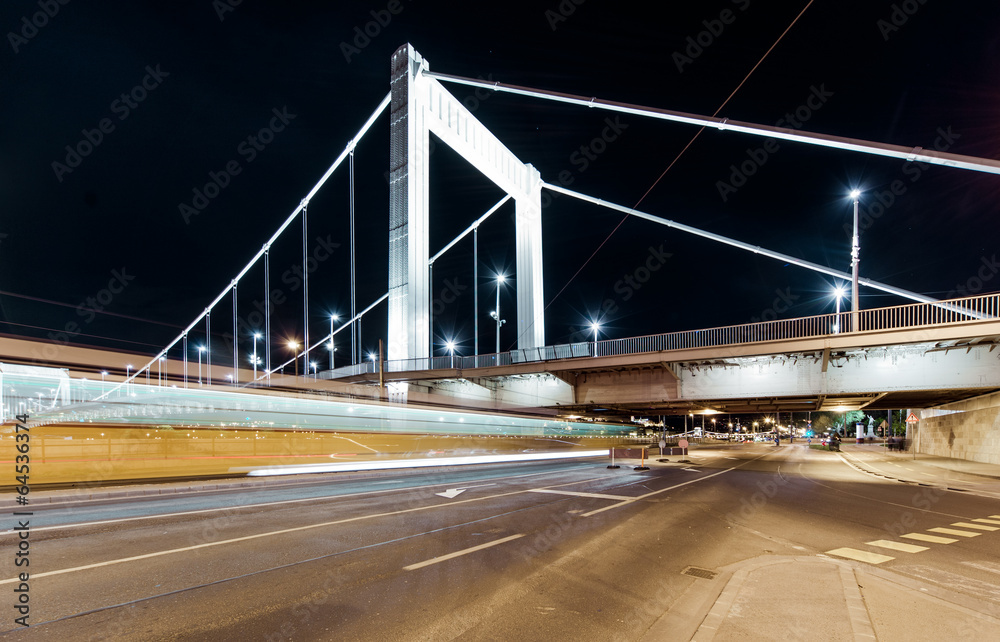 Night view of Elisabeth Bridge (Erzsebet hid).Budapest, Hungary