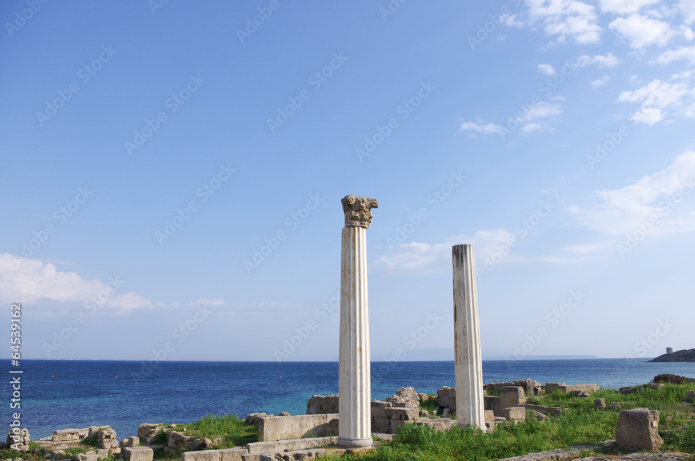 Archeological site of ​​Tharros