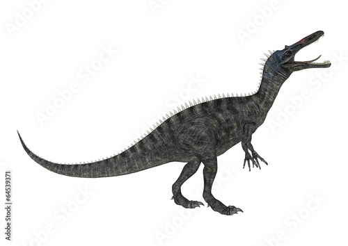 Fototapeta Naklejka Na Ścianę i Meble -  Dinosaur Suchomimus