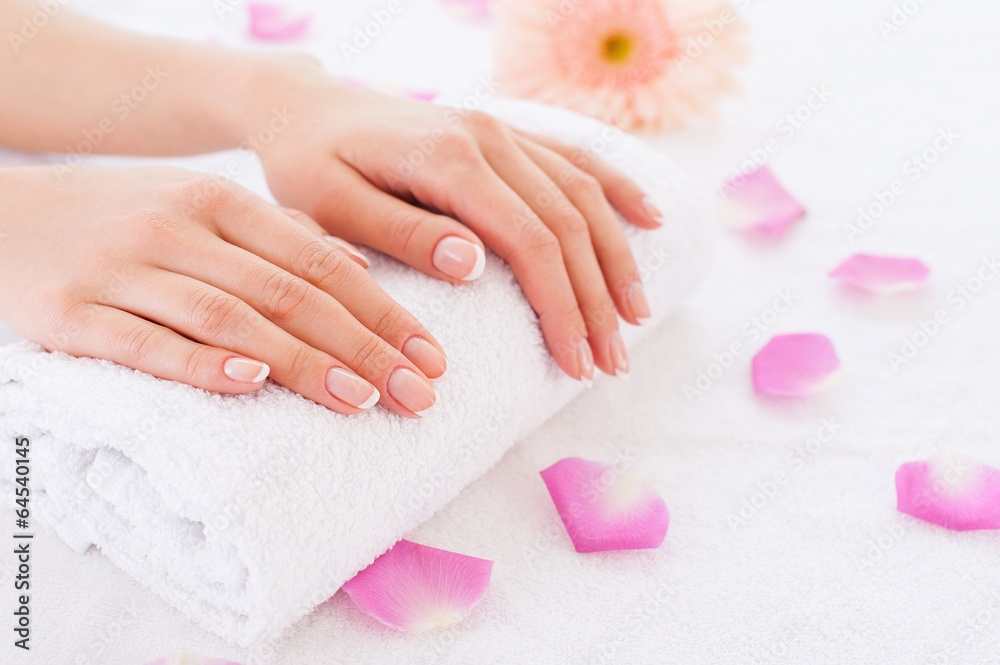 Fototapeta premium Beautiful female hands.