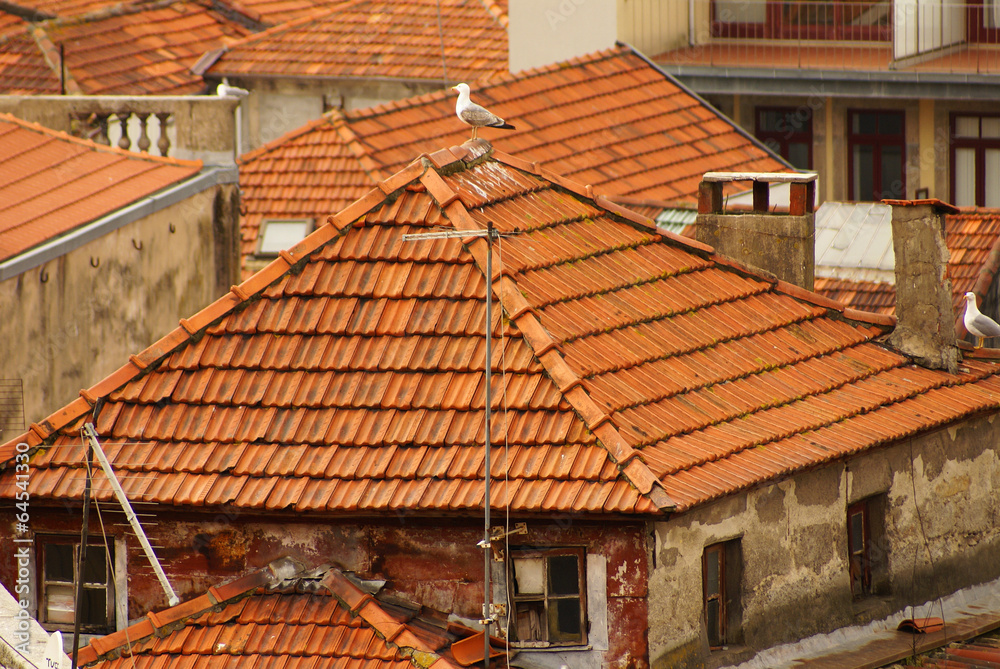thin houses in old town, Porto, Portugal thin houses in old town, Porto, Portugal