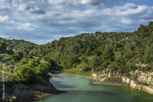 Green Jungle