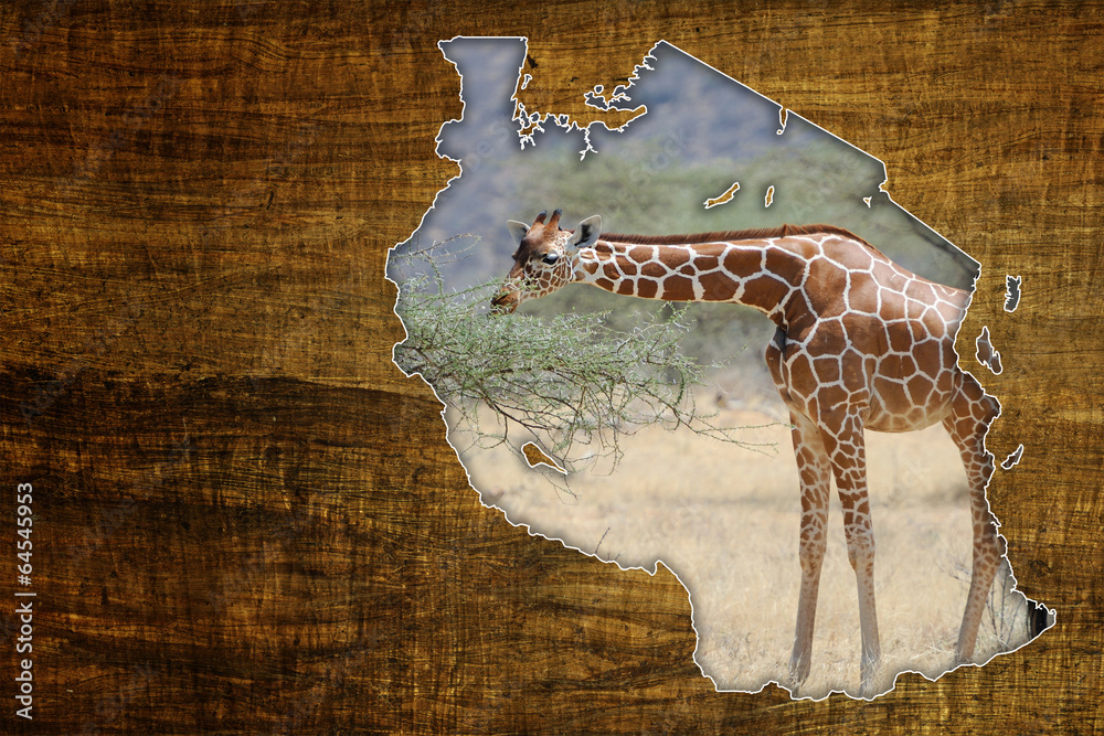 Fototapeta premium Tanzania Wildlife Map Design