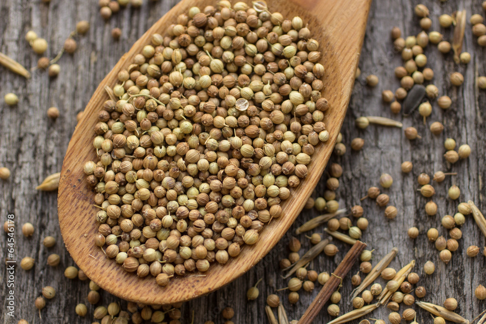 coriander coriander