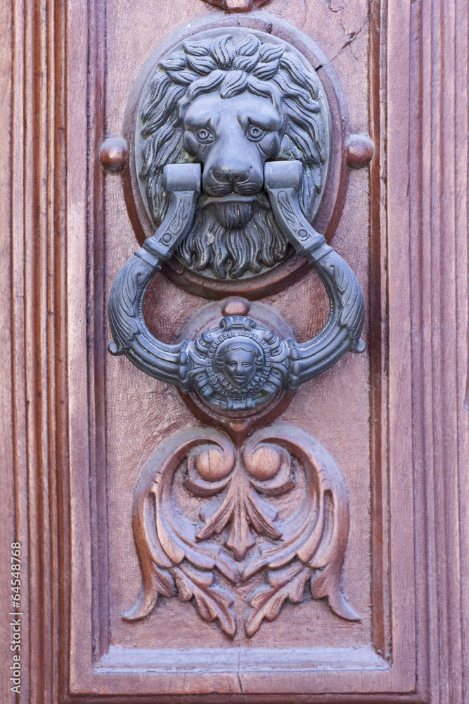Iron Knocker on a Wooden Door