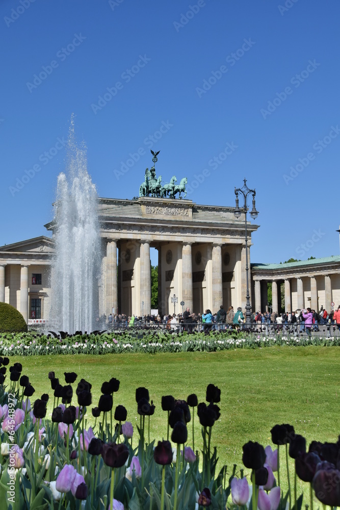 Fototapeta premium Brandenburgertor in Berlin