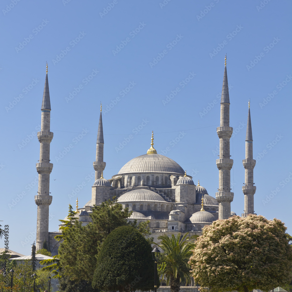 Blue mosque