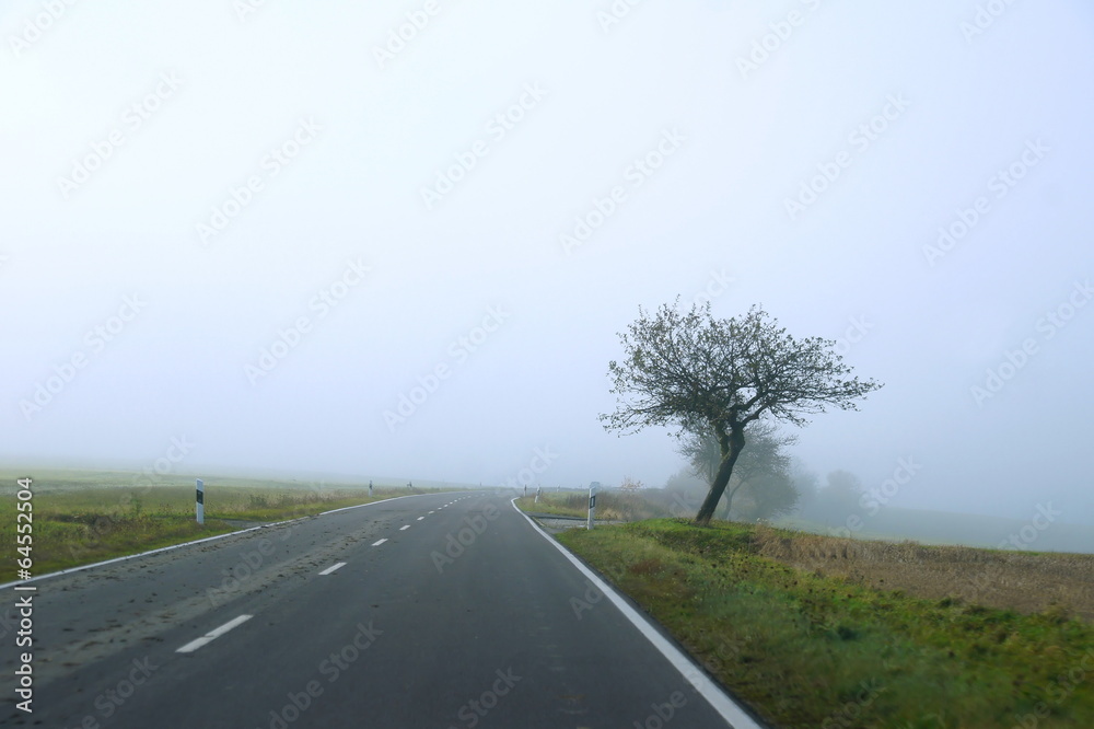 Fototapeta premium dichter Nebel auf der Strasse