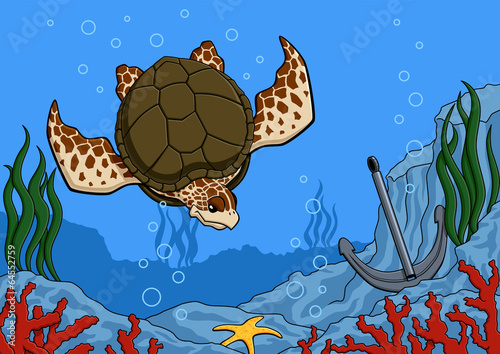 Sea turtle