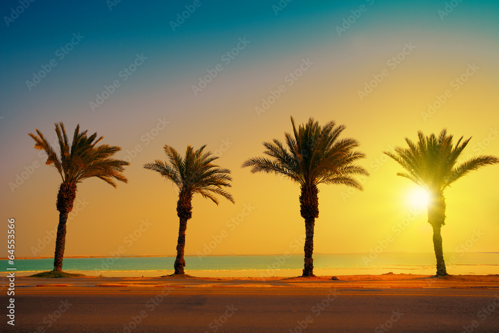 Tropical beach with palm trees at sunset background. Dead Sea be