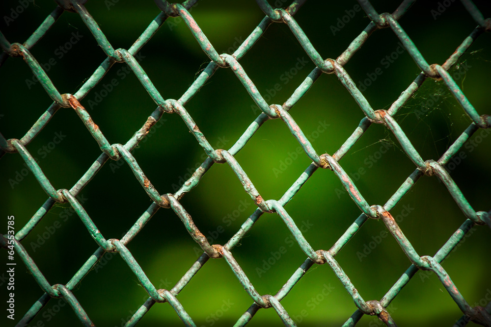Fototapeta premium texture wire fence