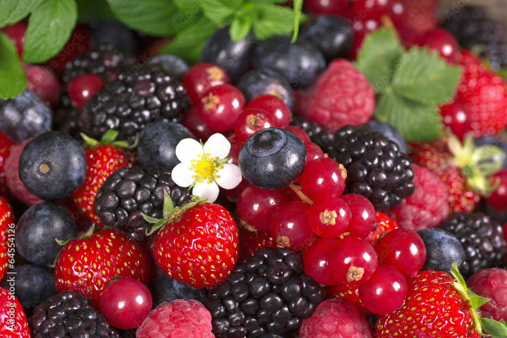 Wild berries Wild berries
