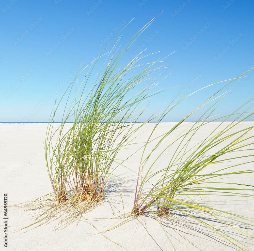 Baltic sea.