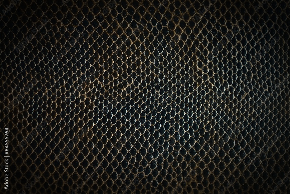 Skin texture background. Big size.