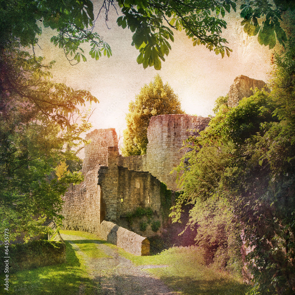 Fototapeta premium Shabby Chic Background with castle ruin