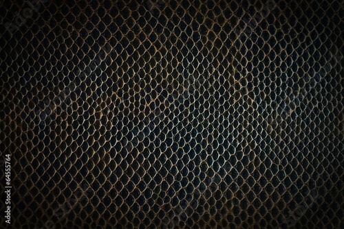 Obraz na płótnie Skin texture background. Big size. w salonie