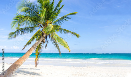 Tropical beach with palm trees © oneinchpunch