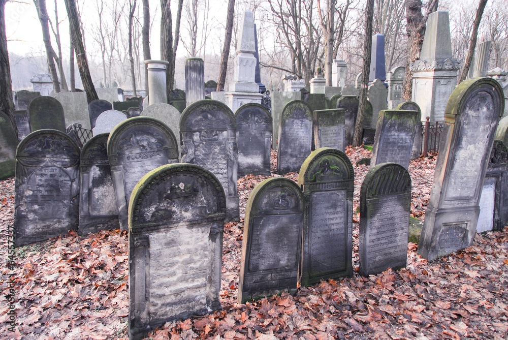 Obraz premium Warsaw Jewish Cemetery
