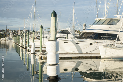 Westhaven Marina, Auckland New Zealand. photo