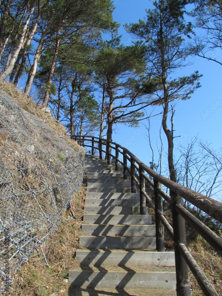 Fototapeta premium 山奥の遊歩道の階段