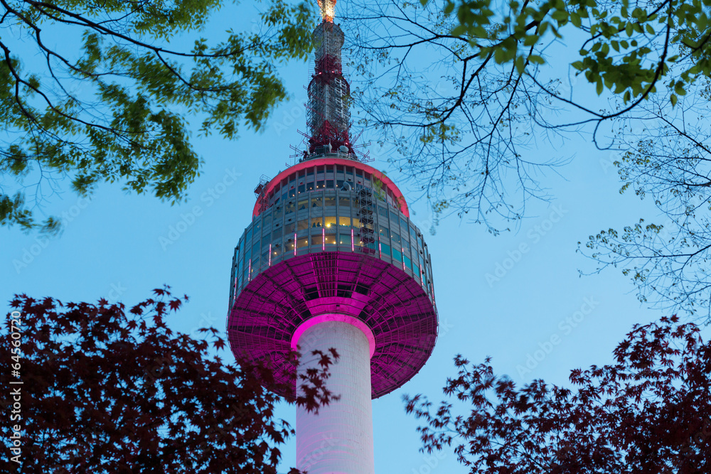 Naklejka premium Seoul Tower