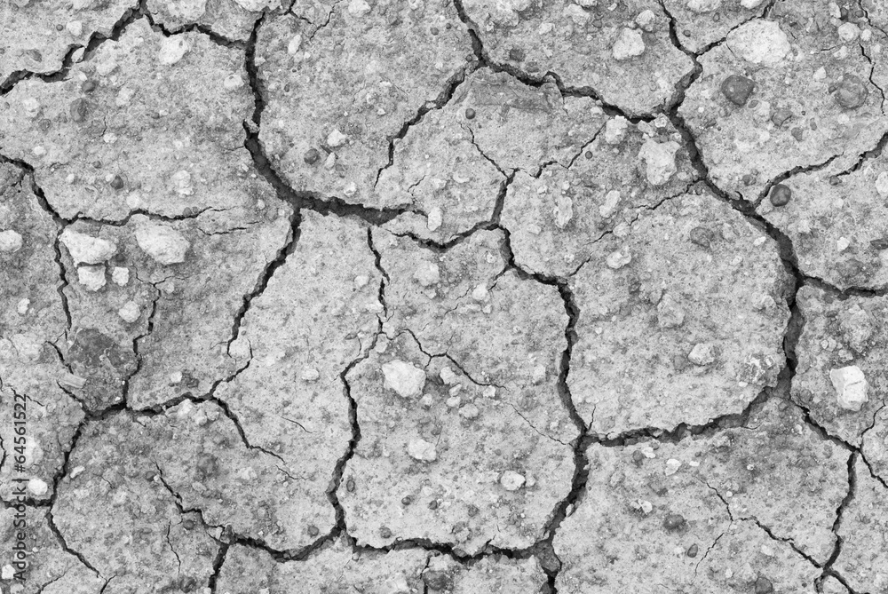 Fototapeta premium Dried earth