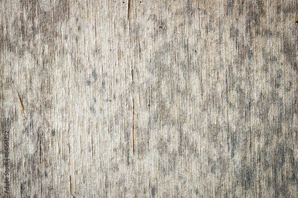 Fototapeta premium wood texture