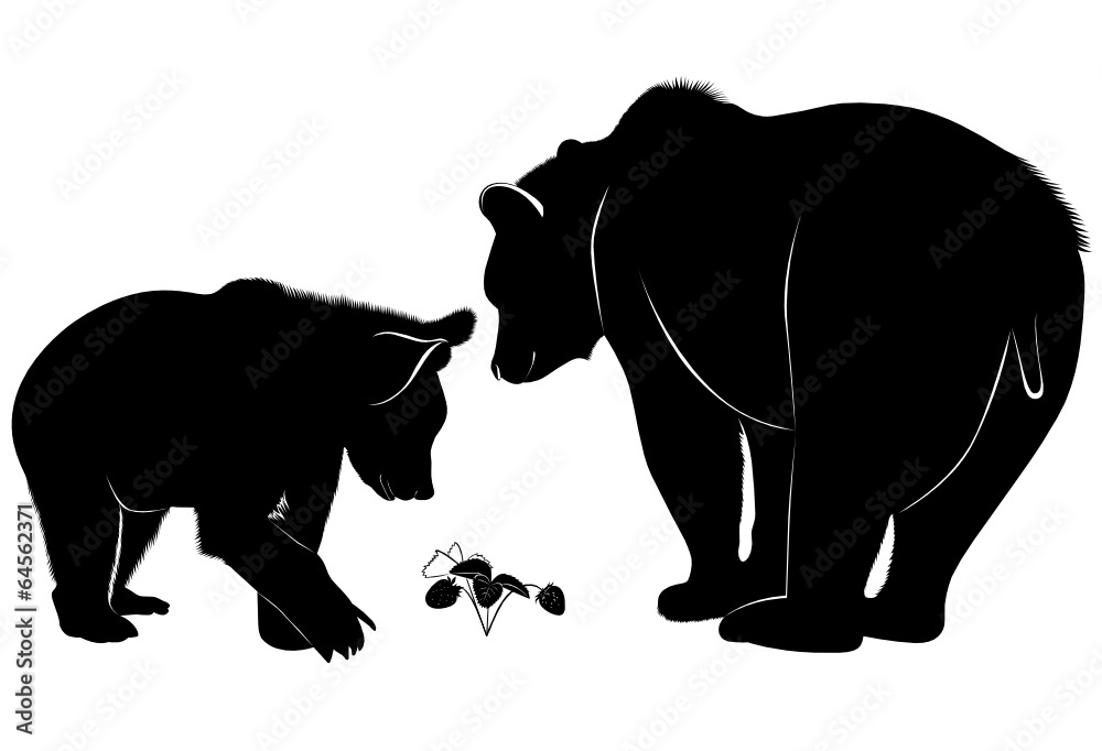 Fototapeta premium bears