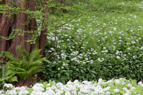 Park in Rostock