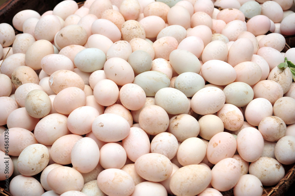 duck eggs duck eggs