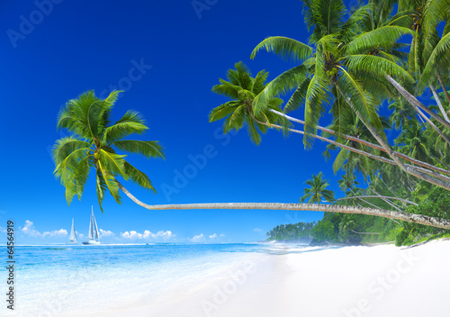 Tropical paradise with sailboat