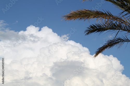 Wolken mit Palme