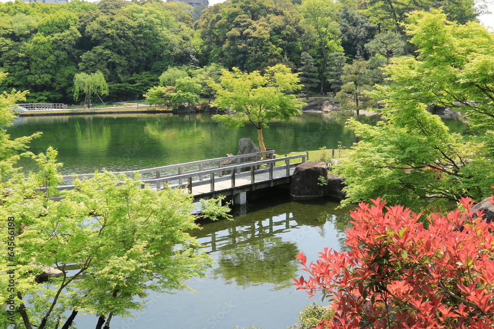 Obraz premium 徳川庭園