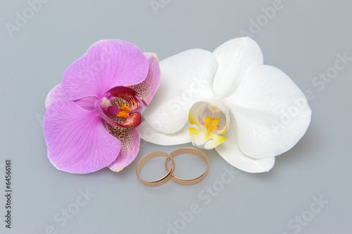 Fototapeta Naklejka Na Ścianę i Meble -  Wedding rings with orchid flowers on gray