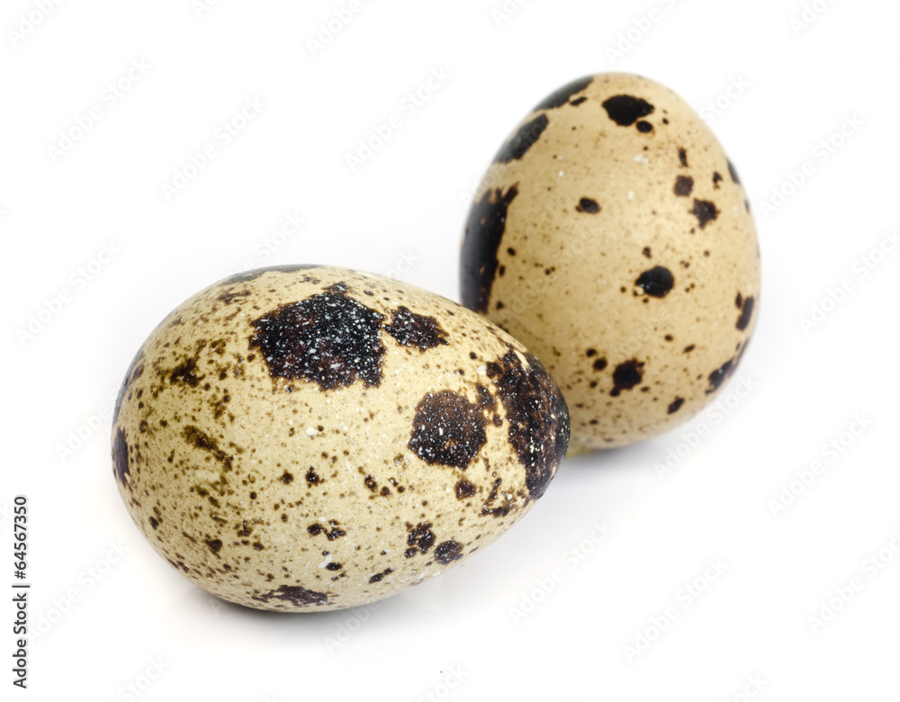 quail eggs, quail eggs,