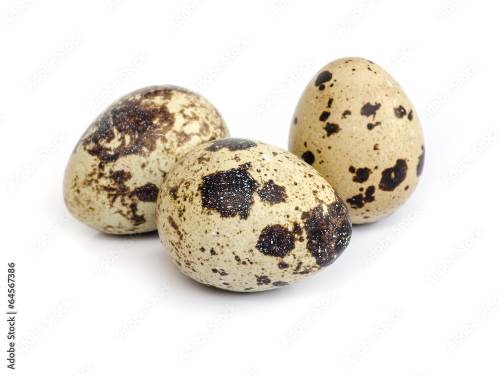 quail eggs, quail eggs,