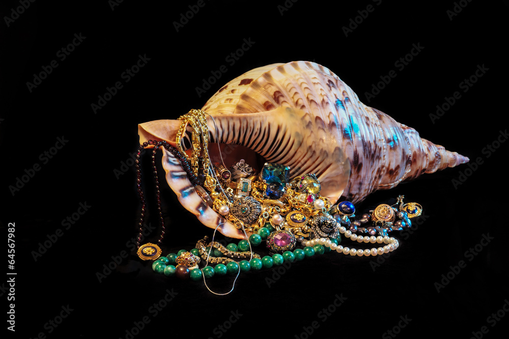 Fototapeta premium Gem shell