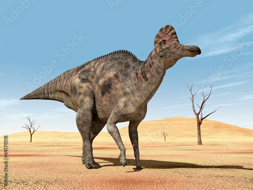 Fototapeta Naklejka Na Ścianę i Meble -  Dinosaur Corythosaurus