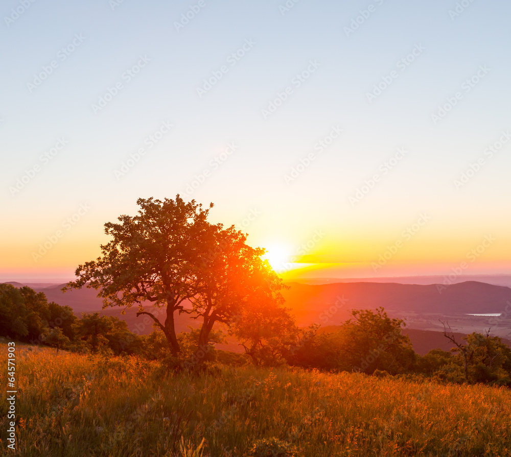 Fototapeta premium Meadow on sunset