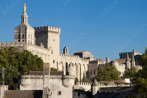 Obraz na płótnie Medieval town of Avignon w salonie