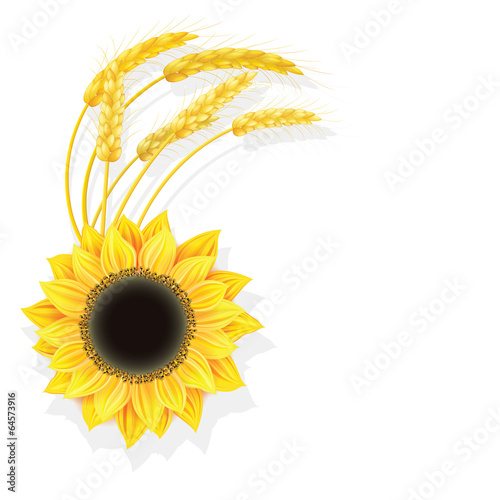 sunflower with wheat decoration