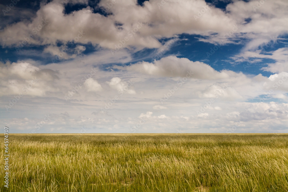 Endless plains of Etosha National Park