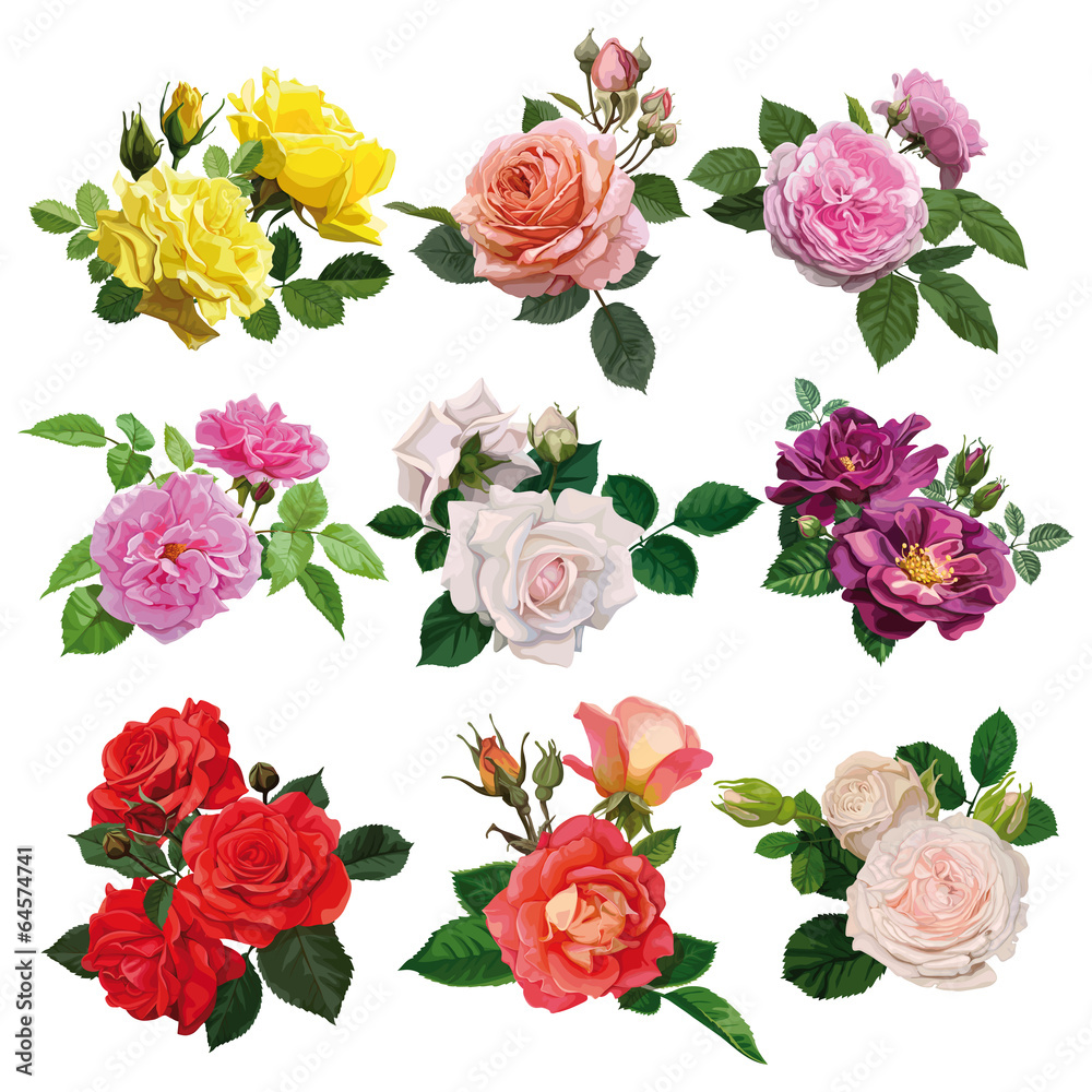 Set of multicolored roses - obrazy, fototapety, plakaty 