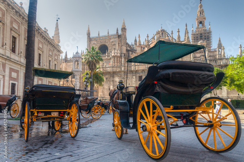 Carriages in Seville