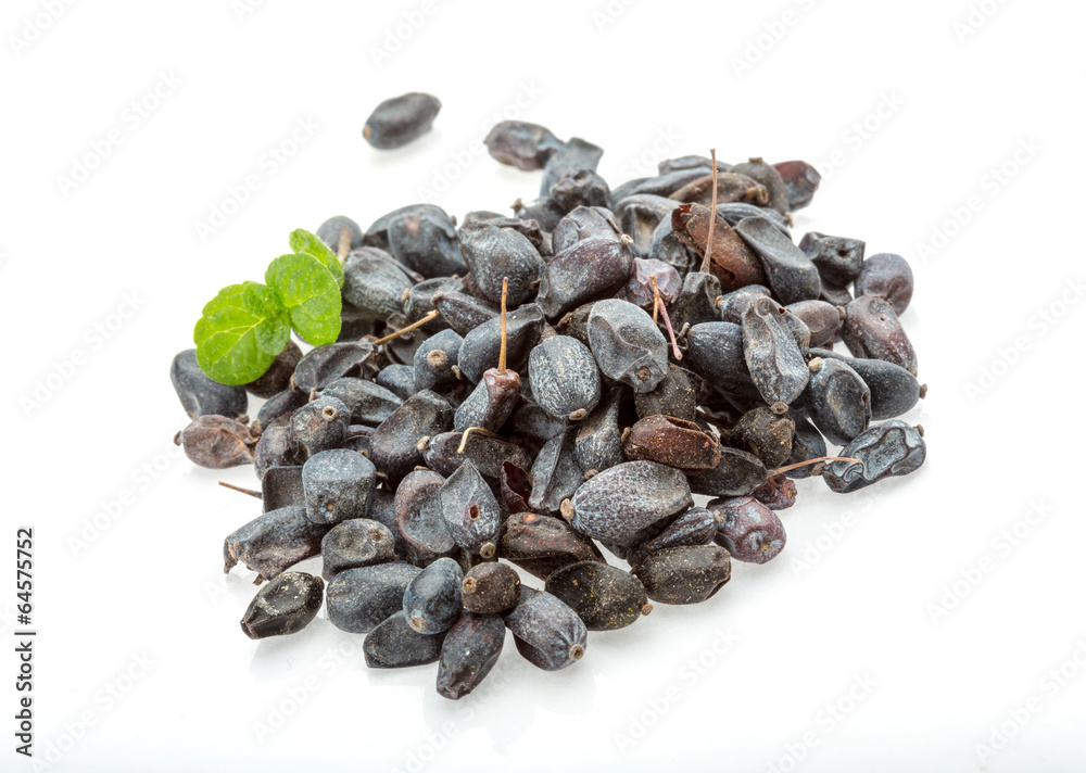 Obraz premium Dry Berberis