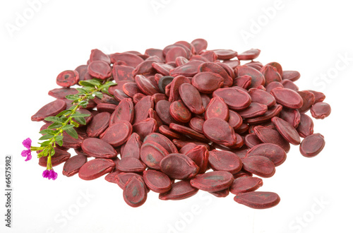 Red Pumpkin seeds