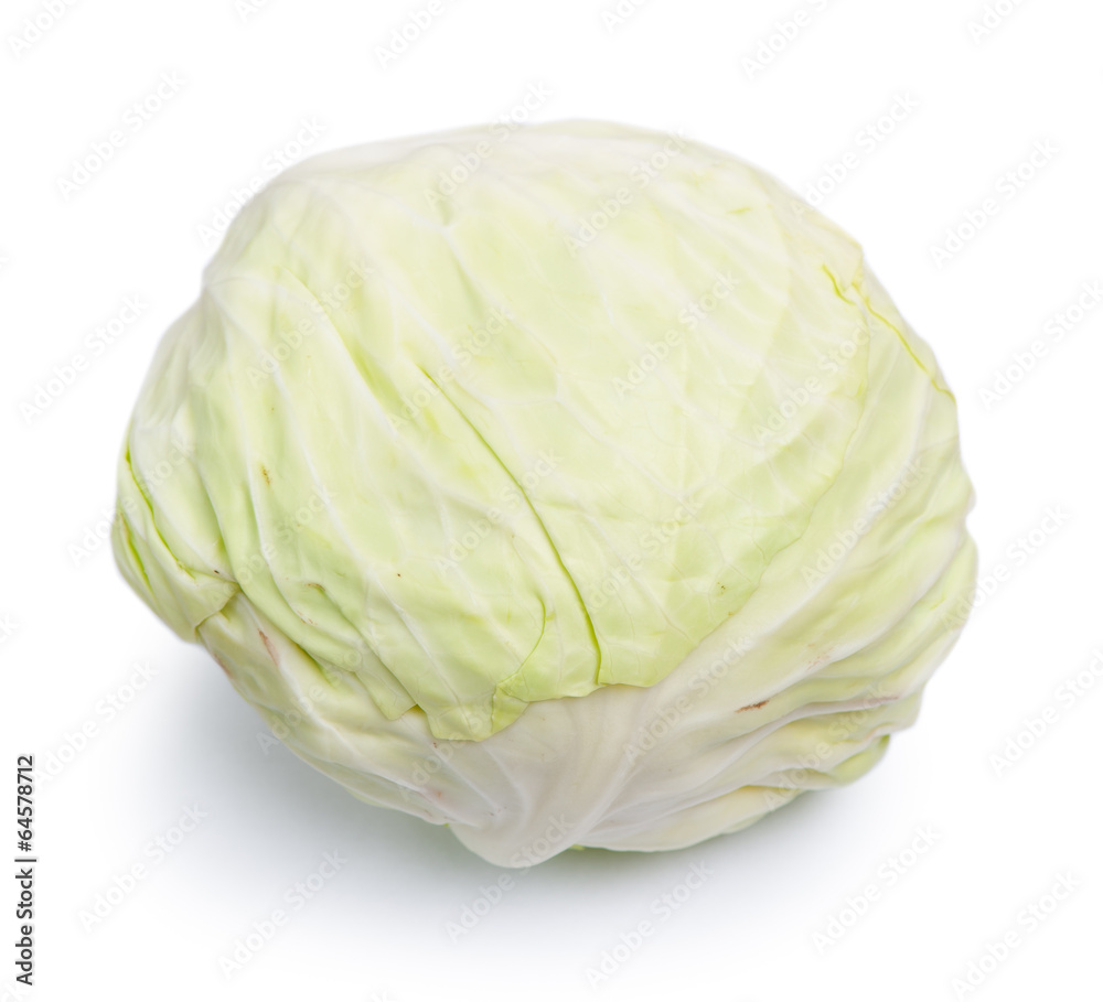 Cabbage Cabbage